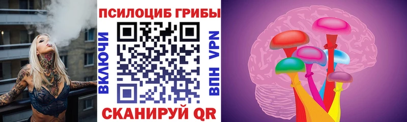 даркнет сайт  Зея  Псилоцибиновые грибы Psilocybine cubensis 